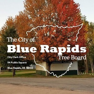 Blue Rapids Tree Board Fund